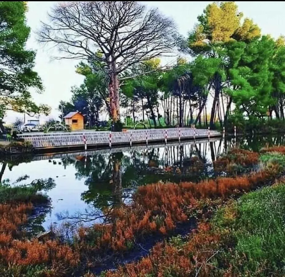 Divjak Dhoma Plazhi Apartamento Divjake 0*,  Albania